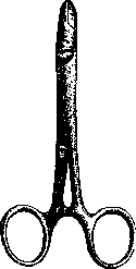 Angiostoma: figure 2 from the 1928–1936 encyclopedia article