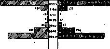 Pneumonia: figure 3 from the 1928–1936 encyclopedia article