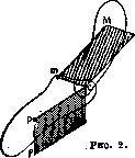 Equilibrium of the Body: figure 2 from the 1928–1936 encyclopedia article