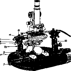MICROSURGERY: figure 1 from the 1928–1936 encyclopedia article