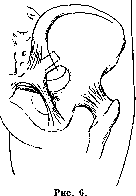 Sacroiliac Joint: figure 5 from the 1928–1936 encyclopedia article
