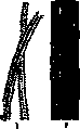 Hair: figure 3 from the 1928–1936 encyclopedia article