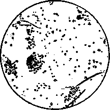 Biological Analysis: figure 6 from the 1928–1936 encyclopedia article