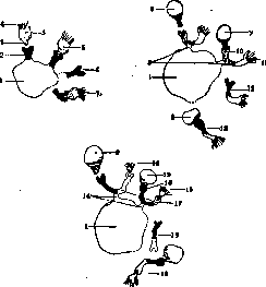 Receptor: figure 1 from the 1928–1936 encyclopedia article