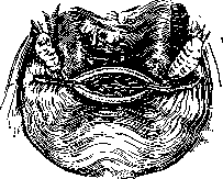 Salpingotomy: figure 3 from the 1928–1936 encyclopedia article
