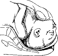 Childbirth: figure 17 from the 1928–1936 encyclopedia article
