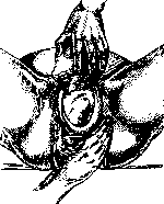 Breech Presentation: figure 18 from the 1928–1936 encyclopedia article