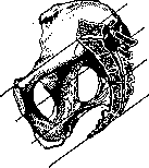 Childbirth: figure 1 from the 1928–1936 encyclopedia article