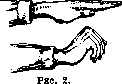 Proprioceptive Elements: figure 2 from the 1928–1936 encyclopedia article