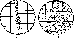 Condurango and Limbs: figure 8 from the 1928–1936 encyclopedia article