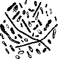 Malignant: figure 1 from the 1928–1936 encyclopedia article