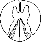Ergotism: figure 1 from the 1928–1936 encyclopedia article