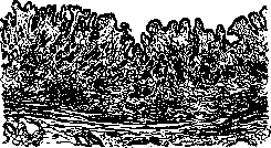 Gastritis: figure 2 from the 1928–1936 encyclopedia article