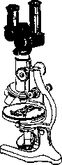 Bitot's Spots: figure 1 from the 1928–1936 encyclopedia article