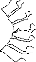 Vertebral Column: figure 30 from the 1928–1936 encyclopedia article