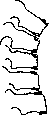 Vertebral Column: figure 29 from the 1928–1936 encyclopedia article