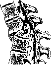 Vertebral Column: figure 43 from the 1928–1936 encyclopedia article