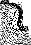 Mammary Gland: figure 9 from the 1928–1936 encyclopedia article