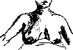 Mammary Gland: figure 8 from the 1928–1936 encyclopedia article