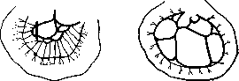 MESENTERIC ARTERIES (VENAE): figure 1 from the 1928–1936 encyclopedia article