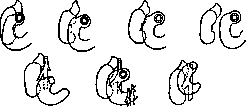 Duodenum: figure 4 from the 1928–1936 encyclopedia article