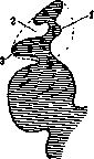 Duodenum: figure 25 from the 1928–1936 encyclopedia article