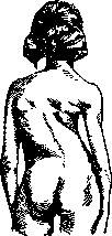 Thorax: figure 7 from the 1928–1936 encyclopedia article