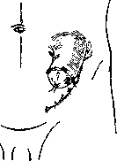 Dmitry Anuchin: figure 1 from the 1928–1936 encyclopedia article