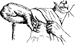 False Joint: figure 7 from the 1928–1936 encyclopedia article