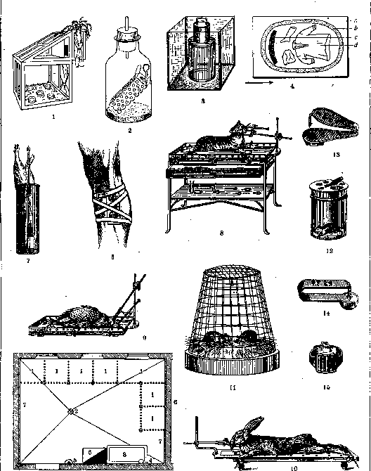 Laboratory Animals: figure 1 from the 1928–1936 encyclopedia article