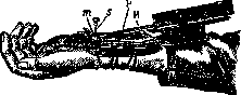 Sphygmograph: figure 1 from the 1928–1936 encyclopedia article