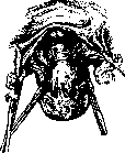 Hysterectomy: figure 3 from the 1928–1936 encyclopedia article