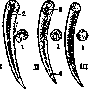Snakes: figure 3 from the 1928–1936 encyclopedia article