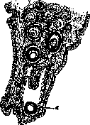Snakes: figure 7 from the 1928–1936 encyclopedia article