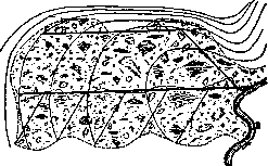 Land Reclamation: figure 1 from the 1928–1936 encyclopedia article