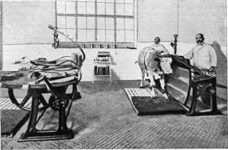 Smallpox Detritus: figure 2 from the 1928–1936 encyclopedia article