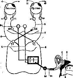 Nystagmus: figure 3 from the 1928–1936 encyclopedia article