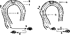 Nystagmus: figure 1 from the 1928–1936 encyclopedia article