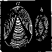 Starch: figure 2 from the 1928–1936 encyclopedia article