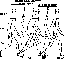 Biomechanics: figure 1 from the 1928–1936 encyclopedia article