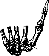 Joints: figure 9 from the 1928–1936 encyclopedia article