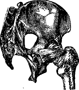 Joints: figure 19 from the 1928–1936 encyclopedia article