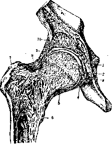 Joints: figure 17 from the 1928–1936 encyclopedia article