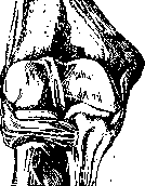 Joints: figure 15 from the 1928–1936 encyclopedia article