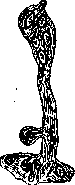 Joints: figure 21 from the 1928–1936 encyclopedia article