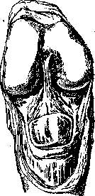 Joints: figure 24 from the 1928–1936 encyclopedia article