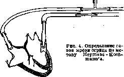 Respiration: figure 3 from the 1928–1936 encyclopedia article