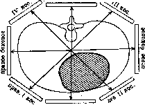 Heart: figure 22 from the 1928–1936 encyclopedia article
