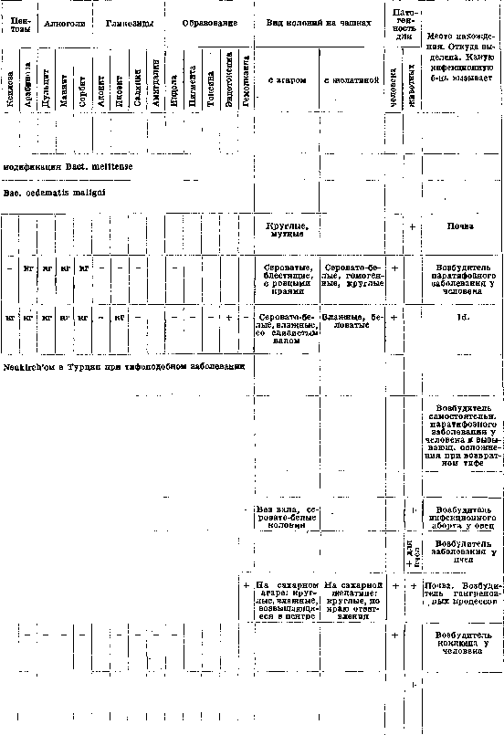 Microorganisms: figure 2 from the 1928–1936 encyclopedia article