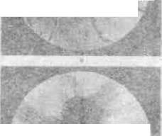 Vegetarianism: figure 5 from the 1928–1936 encyclopedia article